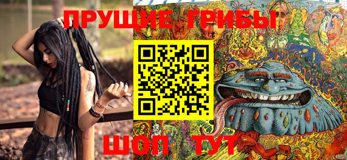 Псилоцибиновые грибы Psilocybe  Вход с VPN  Калуга 